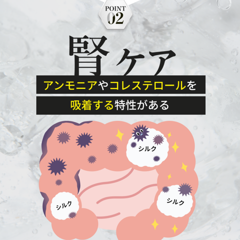 カラダシルク飲料 ZINZO